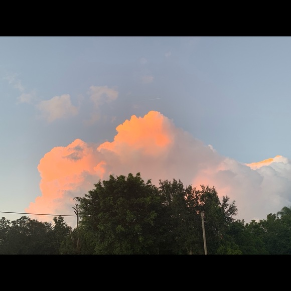 Meet your Posher, Ella - Picture 1 of 1